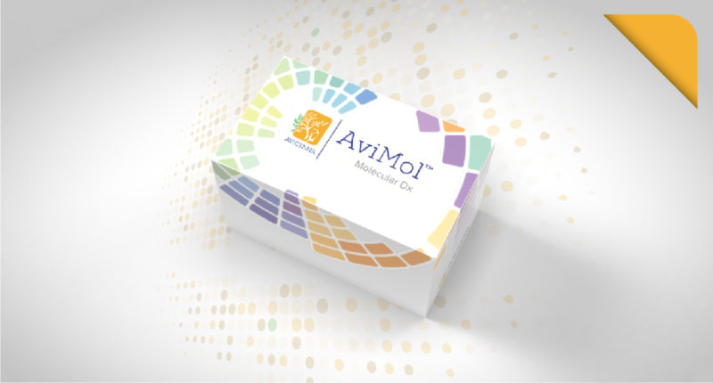 Homepage – AviMol 1 AviChem6.0 by Avicenna